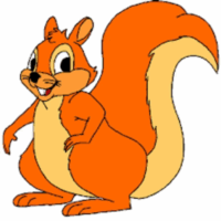 1 1